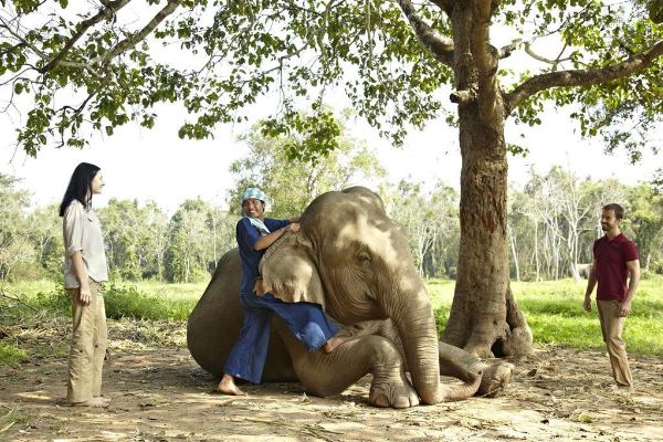 Hotel Anantara Golden Triangle Elephant Camp & Resort (Chiang Saen)